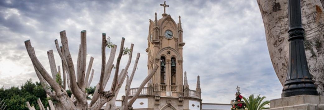 Excursiones, visitas guiadas y actividades en Guía de Isora