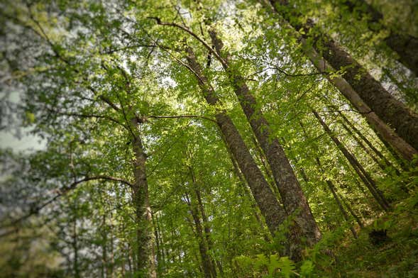 Randonnée dans la vallée de l'Ambroz