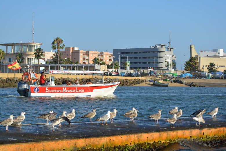 Paseo en barco