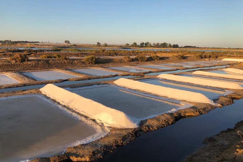 Salinas del Alemán