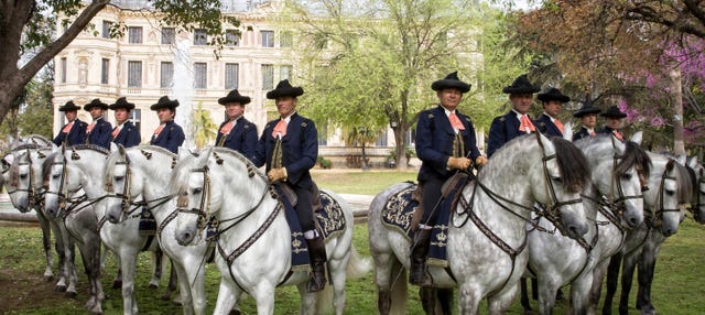 Jerez de la Frontera Horse Show