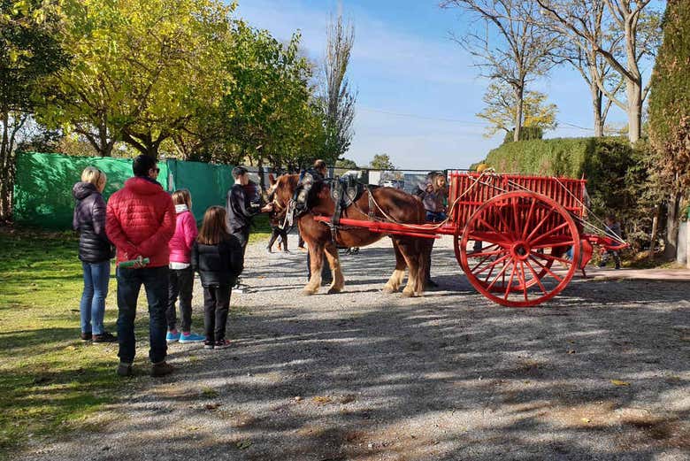 Pony ride at La Manreana 