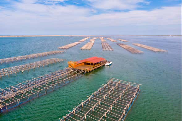 Paseo en barco con degustación de ostras y mejillones