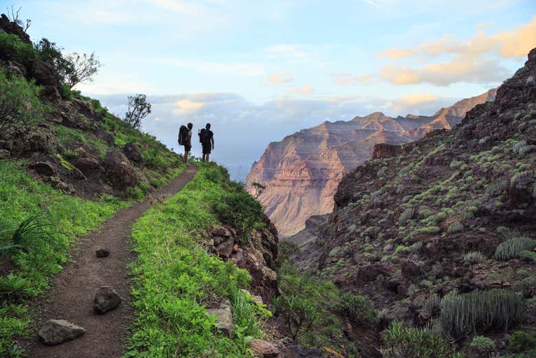 Hike through the stunning Güi Güi Reserve 