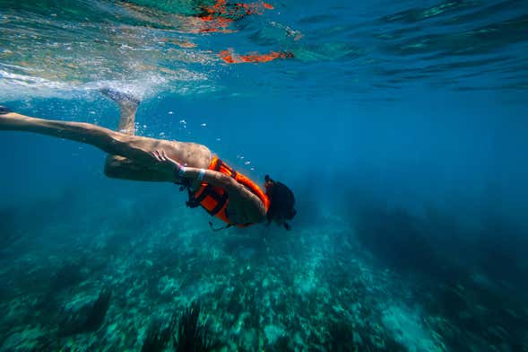 La Ametlla de Mar Snorkelling