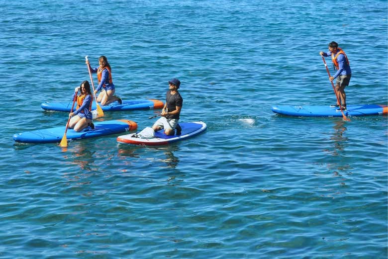 Remando en las tablas de paddle surf