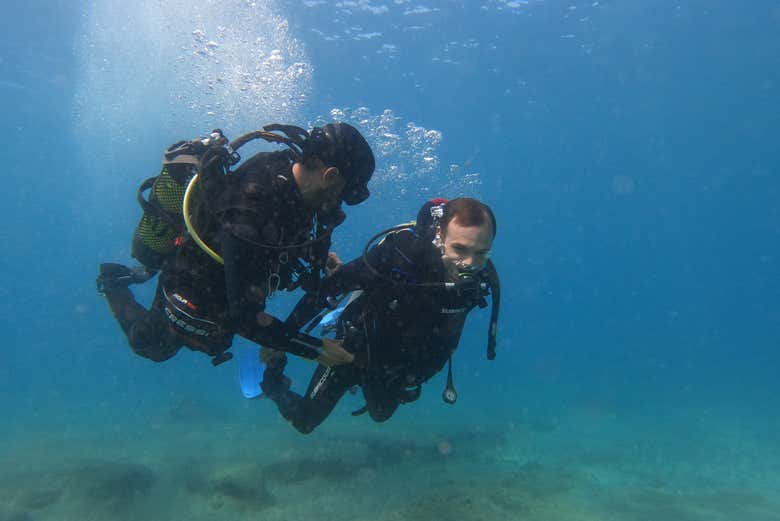 Dive alongisde our knowledgeable diving monitor