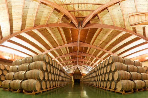 Visita a las bodegas Campillo