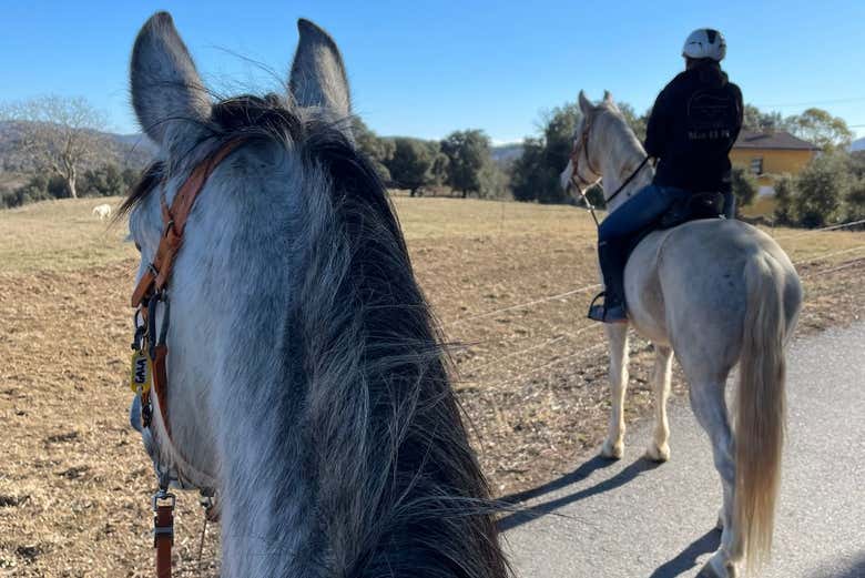 Caballos que montaremos en la Garrocha