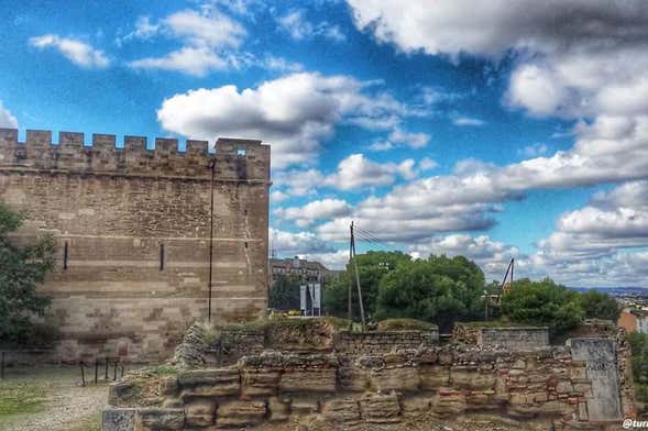 Visite guidée du château templier de Gardeny