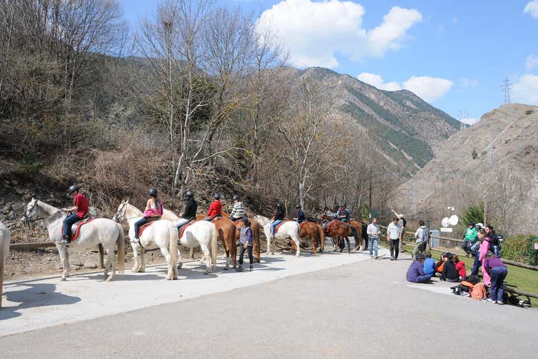 Caballos para la actividad