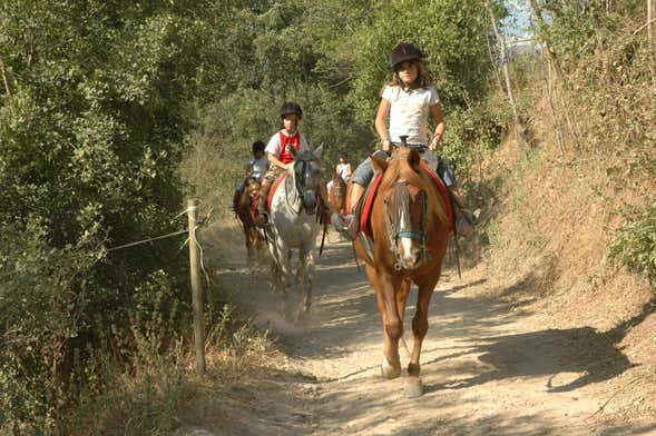 Paseo a caballo por los alrededores de Llavorsí