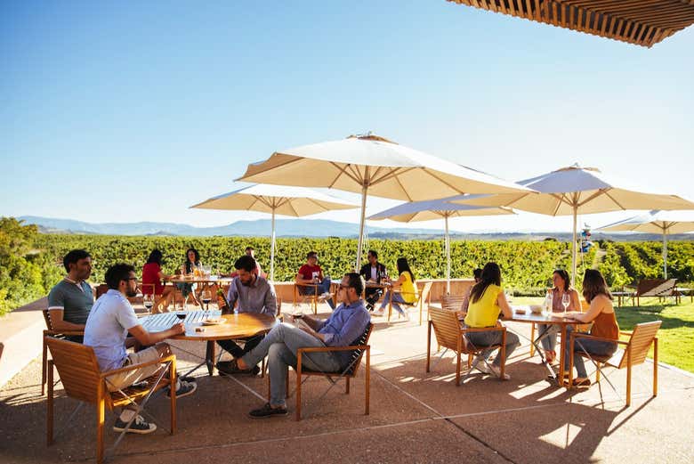 Desfrutando do terraço da vinícola Bodegas Campo Viejo