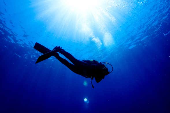 Cours Scuba Diver à Los Abrigos