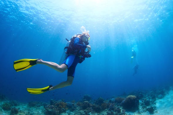 Découvrez la plongée sous-marine PADI dans la région de Tortugas à