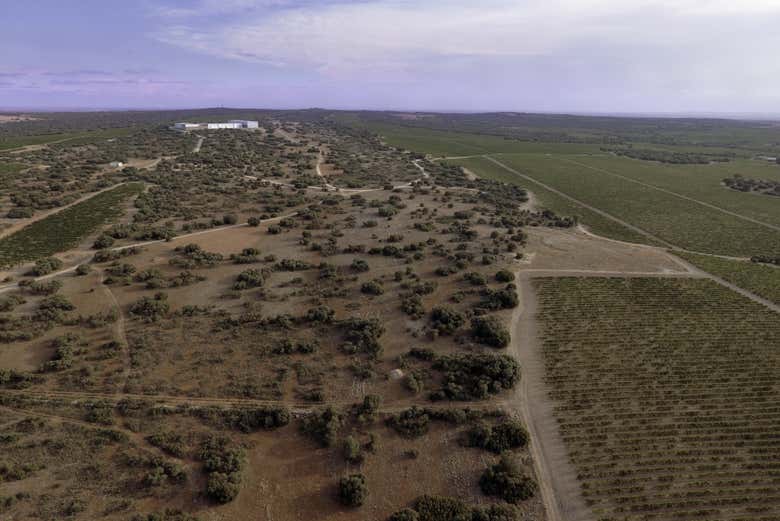 Paisaje de la bodega Finca Antigua