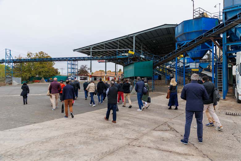 Promenade dans la coopérative oléicole de Lucena