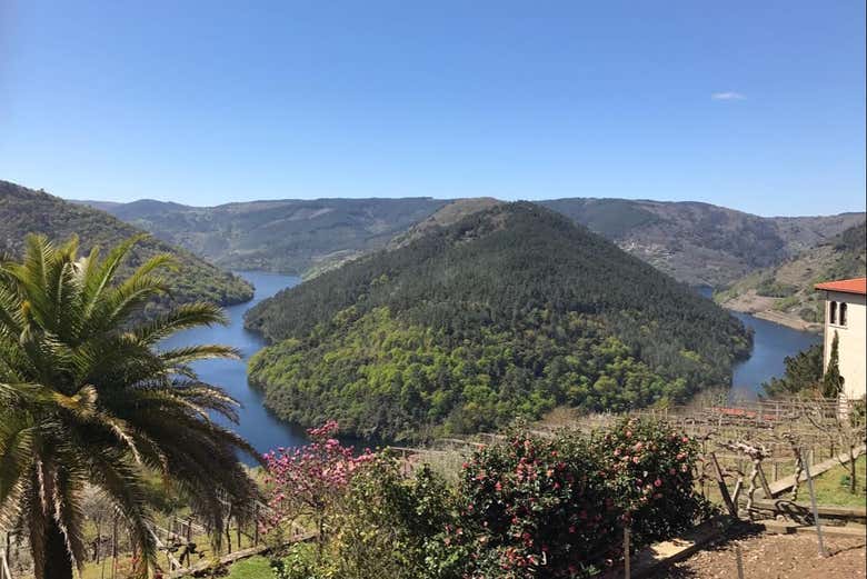 Paisagens da Ribeira Sacra de Lugo