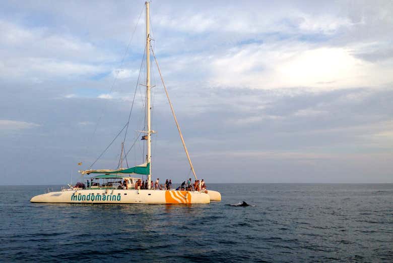 Catamarano nella baia di Malaga