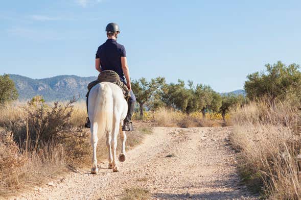 El Salobre Horse Riding Activity