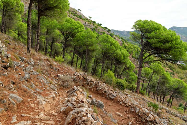 As paisagens montanhosas da Sierra de Mijas