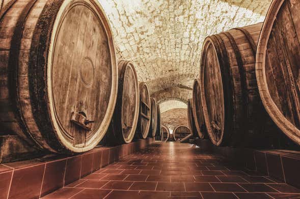 Visita a la bodega Pérez Barquero