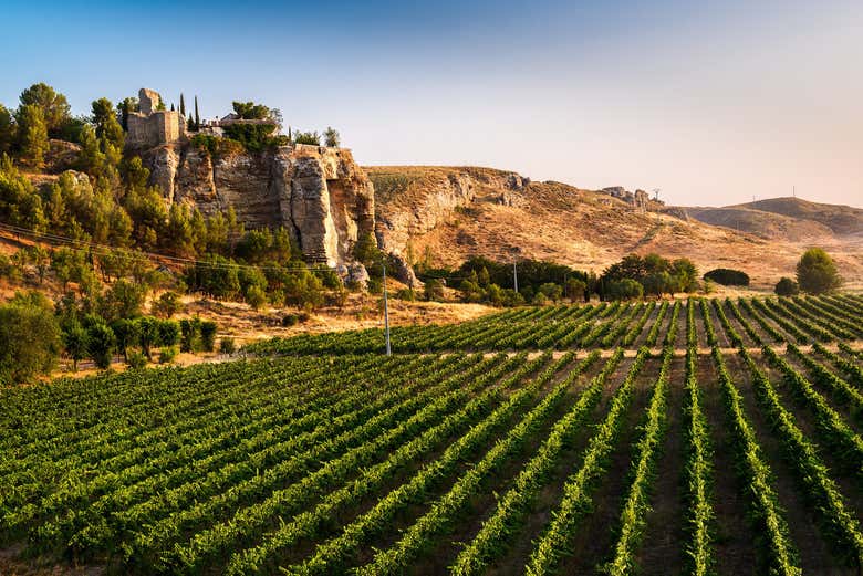 Viñedos de Licinia Wines