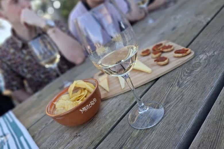 Try delicious wine paired with different tapas