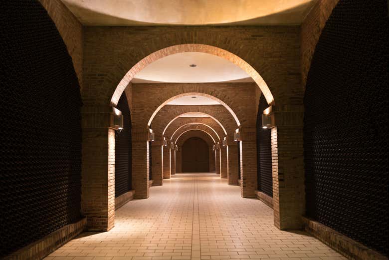 Interior de las bodegas