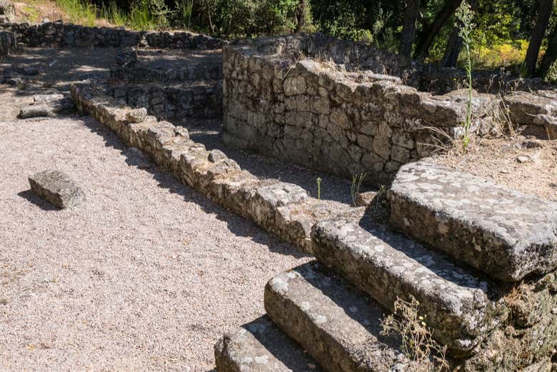 Visita guiada por el Castro de Santomé