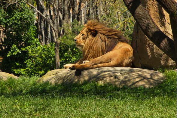 Excursión a Valencia + Bioparc