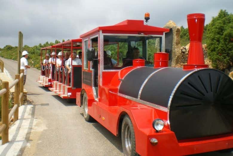 A bordo del tren minero