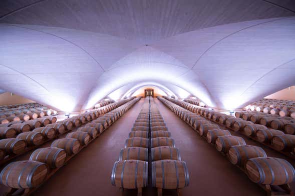 Visita à Bodega Otazu