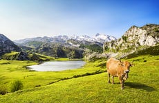 Excursión a Covadonga en grupo reducido