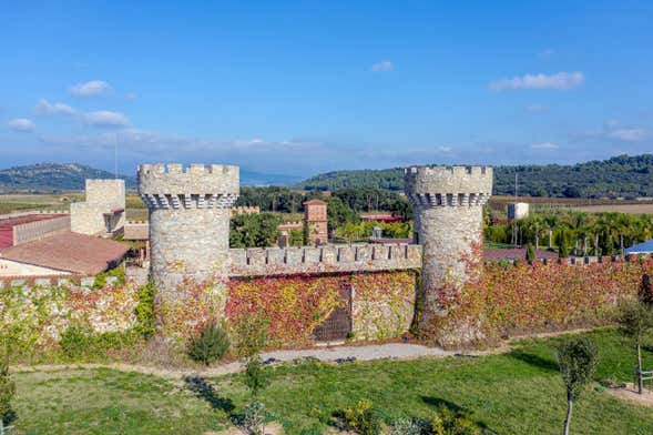 Excursión a Gerona y el Alto Ampurdán + Cata de vinos