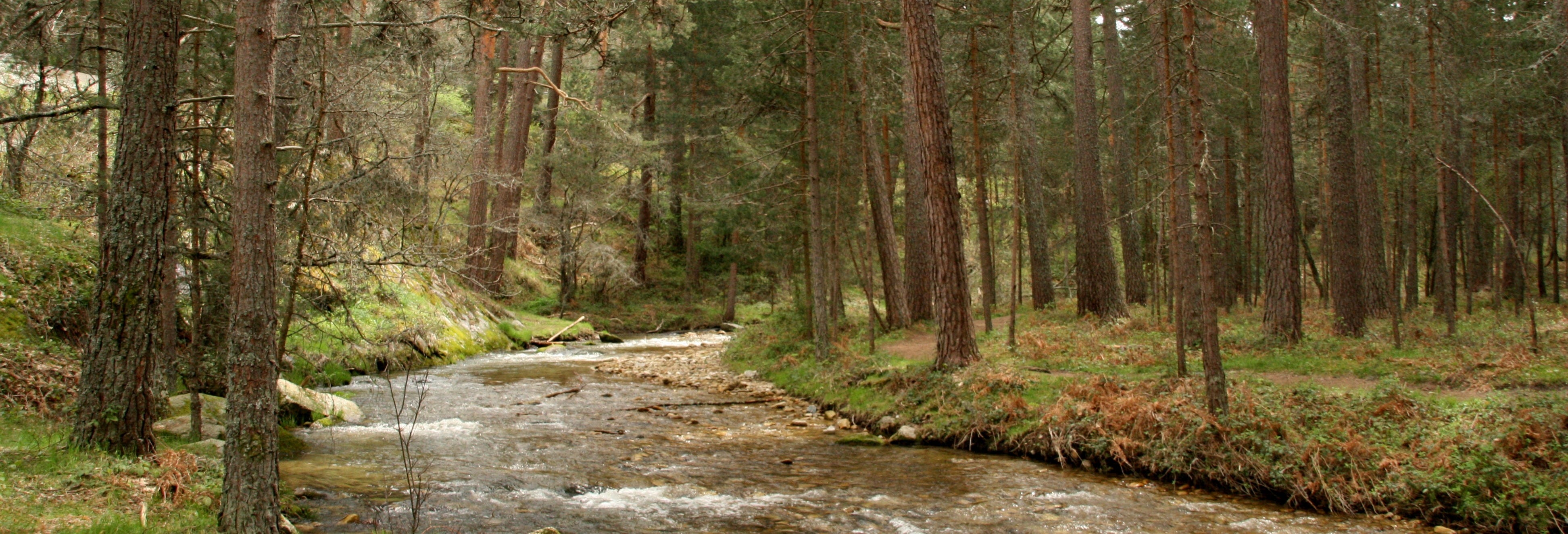 Palazuelos de Eresma