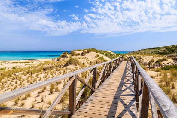 Excursão a Cala Agulla, Cala Mesquida e Cala Molto