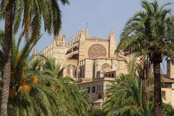 Tour di Palma per croceristi