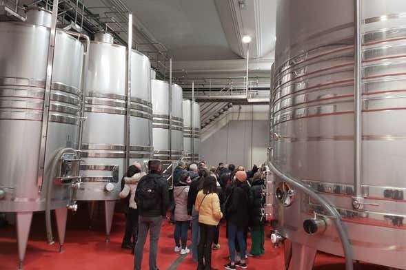 Visita a la bodega Convento Oreja