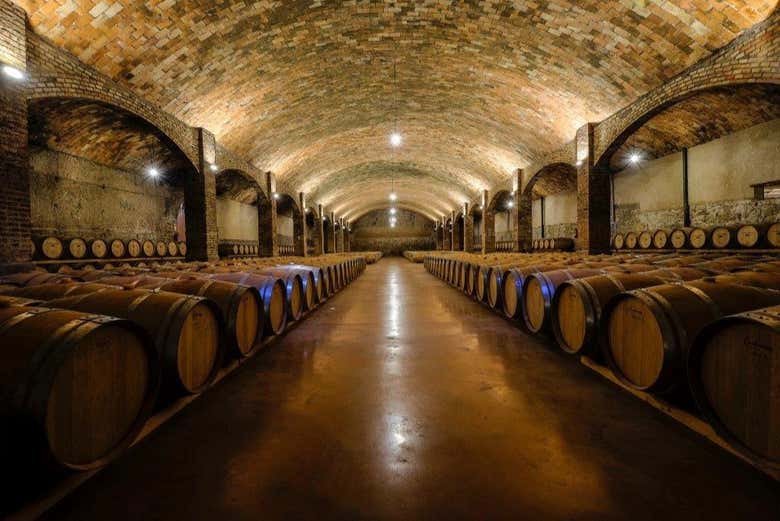 Interior de la bodega Catell del Remei