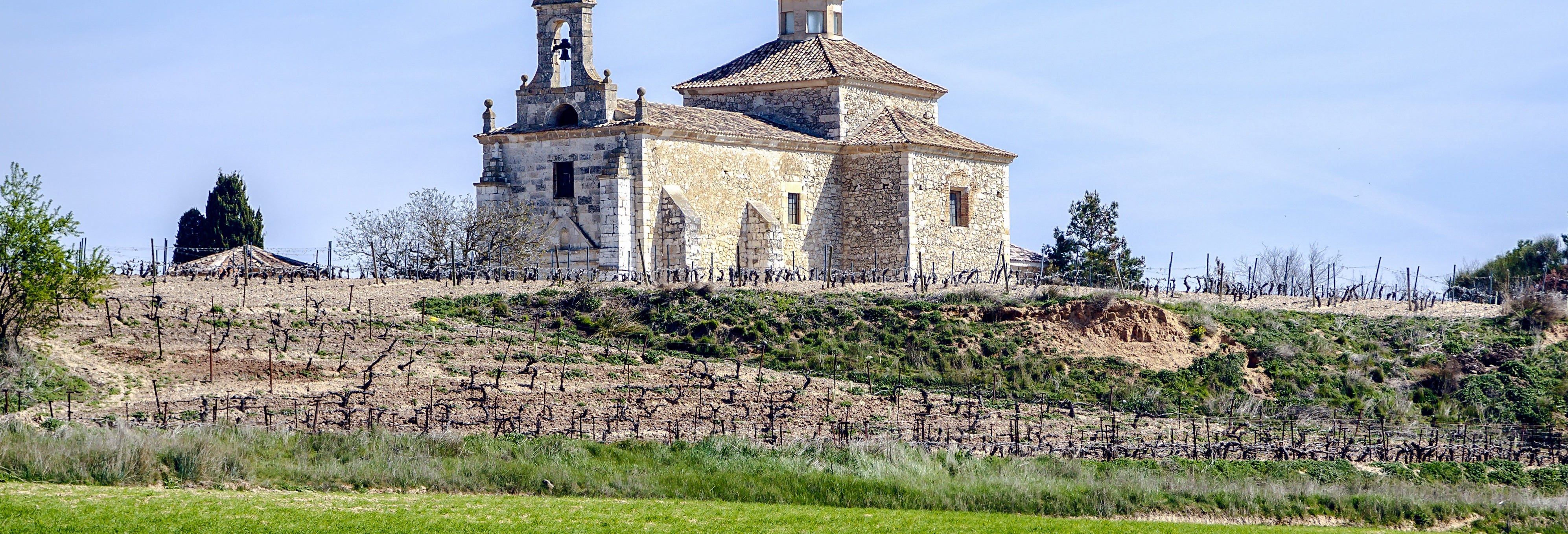 Pesquera de Duero