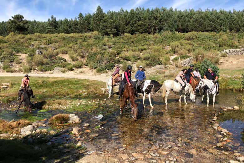 Paseo a caballo por el valle del Tiétar