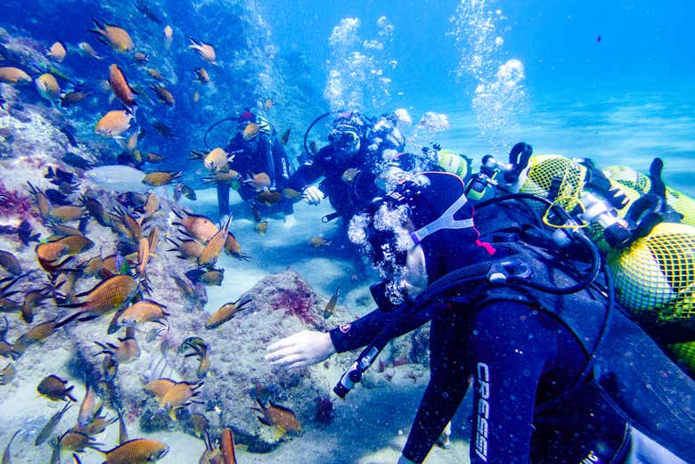 Playa Blanca Beginner Scuba Diving Experience - Civitatis.com