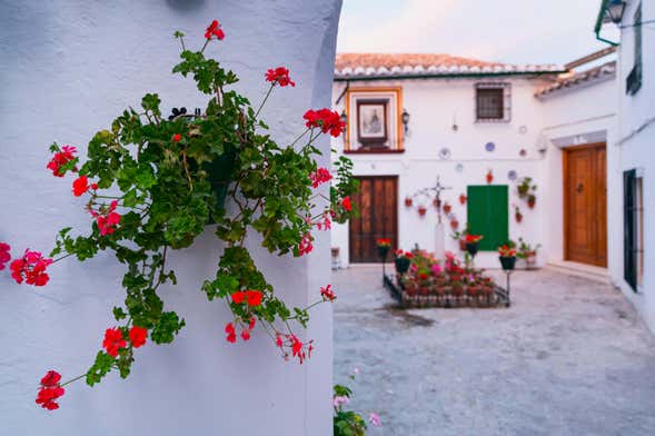 Visite guidée dans Priego de Córdoba