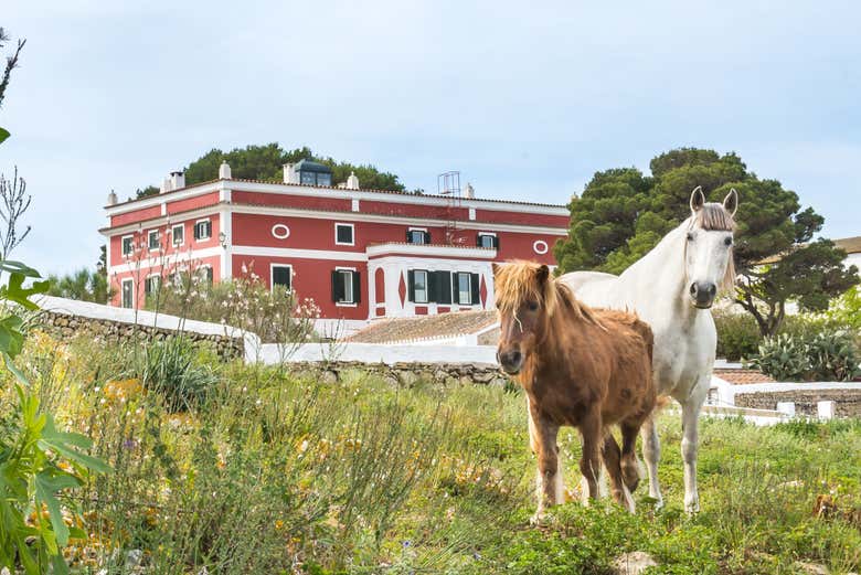 Ferme Subaida