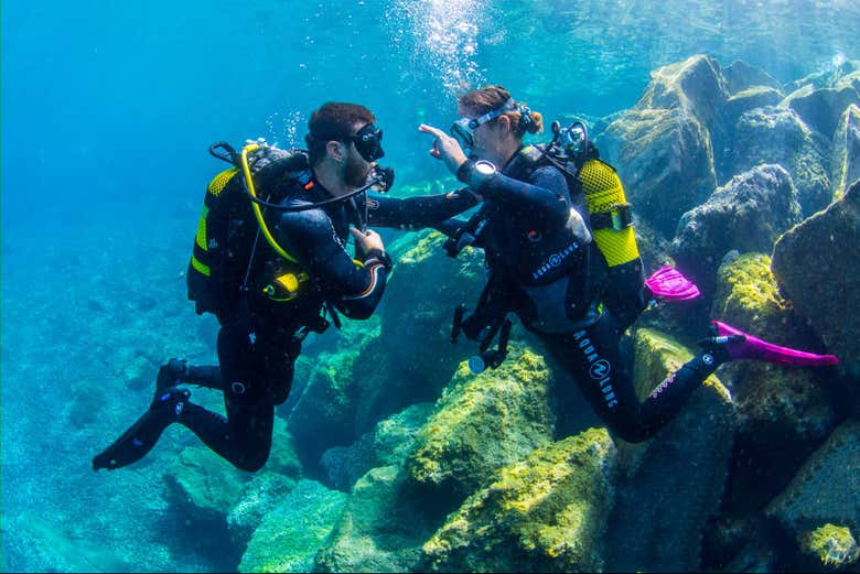 Experience your first scuba dive!