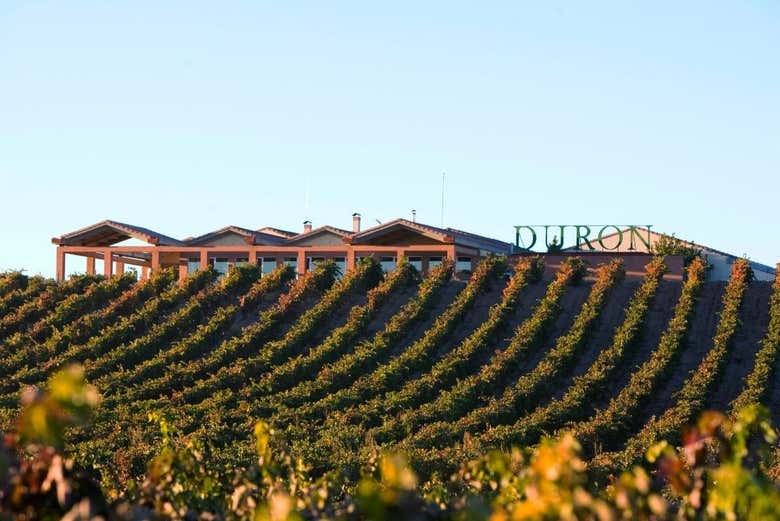 Bodegas Durón