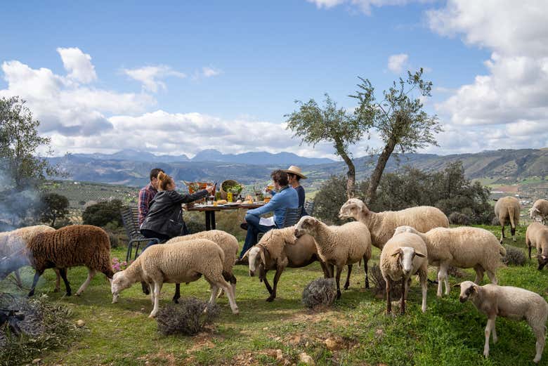 Profitez de la visite du domaine de LA Organic 