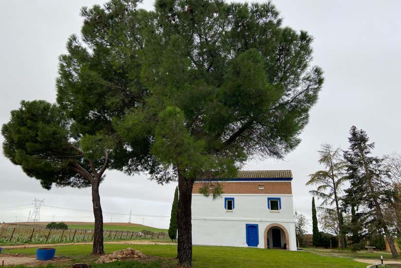 Entrada a las bodegas Rodríguez y Sanzo