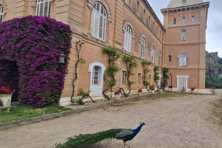 ¡Bienvenidos a Parc Samà!